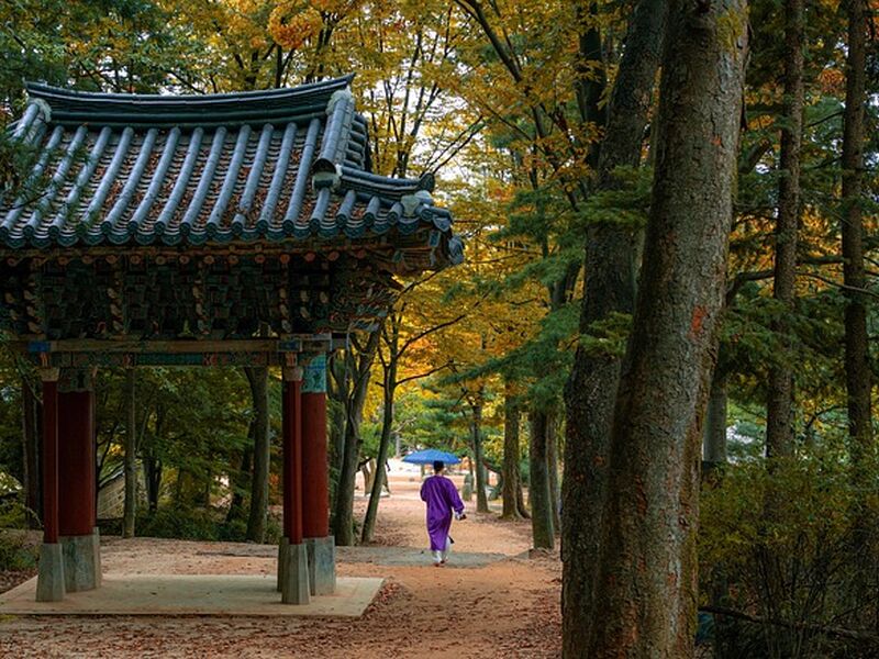 Süper Promo Japonya & Kore Turu - Emirates HY ile 7 Gece