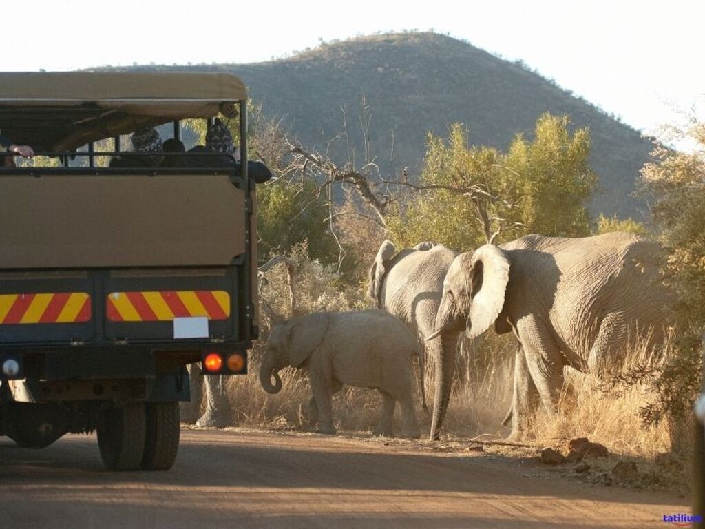 Dolu Dolu Güney Afrika Safari Turu Rotası V2 - THY ile 6 Gece - Tüm Turlar Dahil
