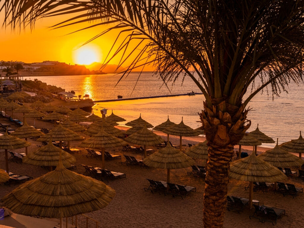 Sharm El Sheikh - Kızıldeniz Rotası Turu - THY ile 4 Gece - Rixos Otelleri