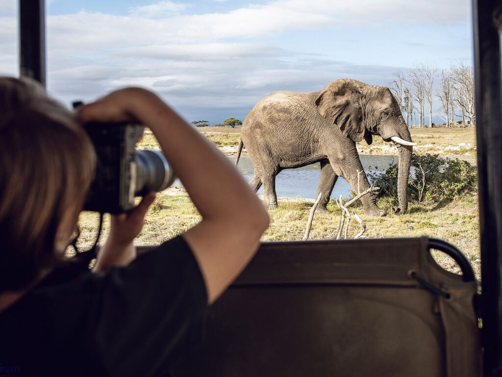 Güney Afrika Safari Turu Rotası - THY ile 6 Gece - Kurban Bayramı Dönemi