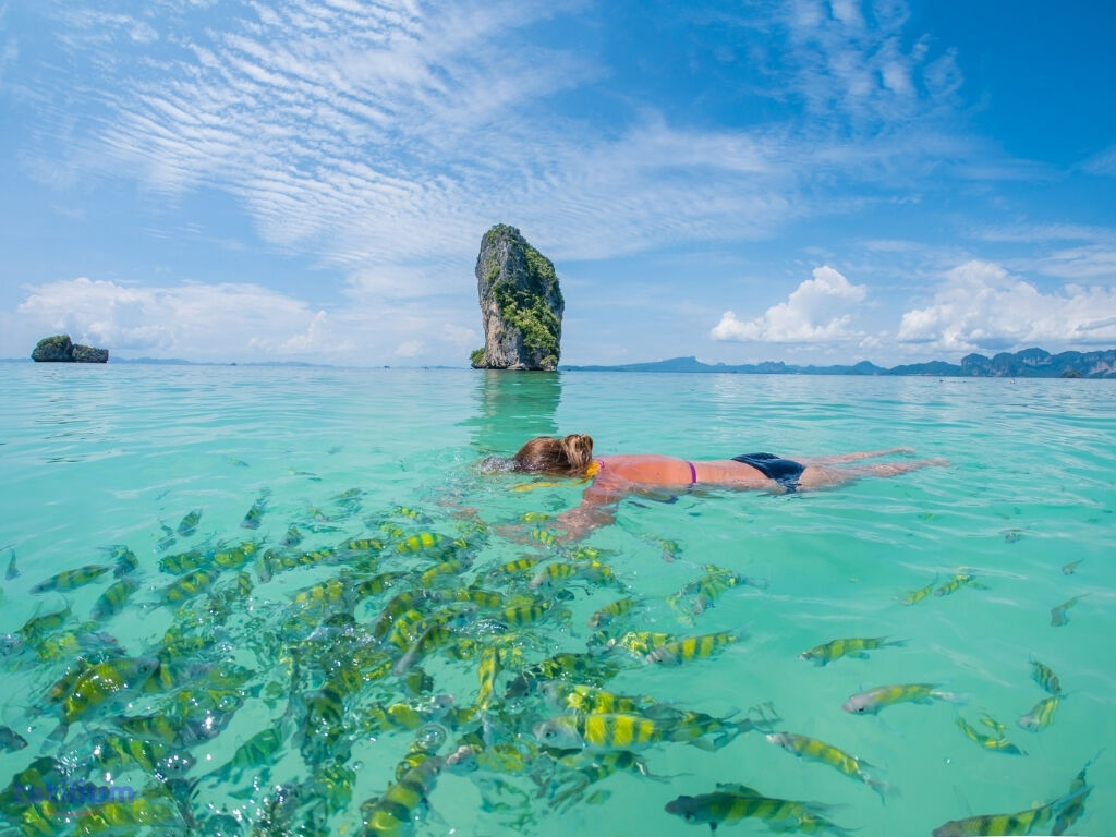 Elegant Bangkok & Pattaya & Phuket Turu - Qatar HY ile 6 Gece - Ekstra Turlar Dahil