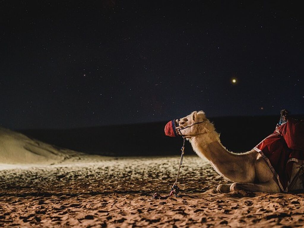 Çölün Ortasındaki Vaha Dubai Şehir Turu - Emirates HY ile 4 Gece  (Vize & Dubai Şehir Turu Dahil)