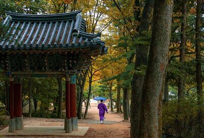 Süper Promo Japonya & Kore Turu - Emirates HY ile 7 Gece