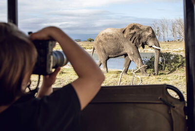 Güney Afrika Safari Turu Rotası - THY ile 6 Gece - Kurban Bayramı Dönemi