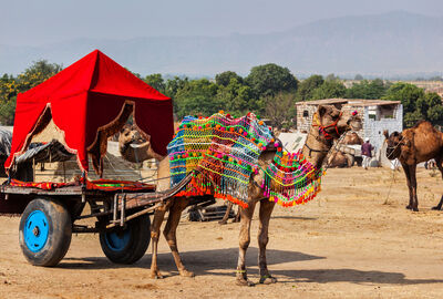 Elegant Sahra Çölü & Fas Turu - THY ile 7 Gece - Ekstra Turlar Dahil (RAK - CMN)