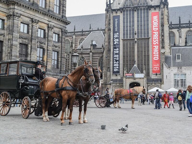 Amsterdam Turu - Pegasus HY ile 3 Gece