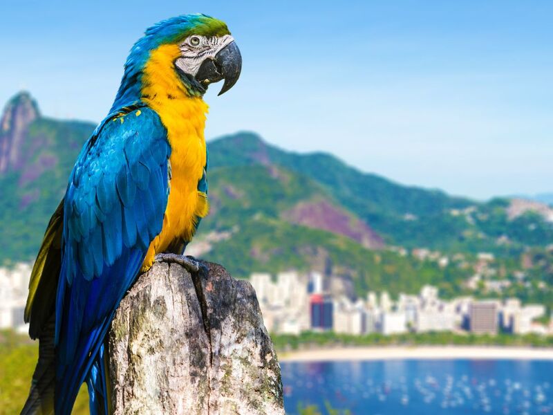 Elegant Arjantin & Brezilya Turu - THY ile 8 Gece - Ekstra Turlar Dahil