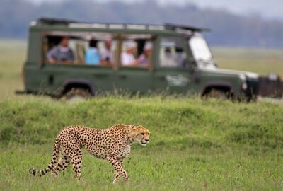 Elegant Güney Afrika Turu - THY ile 7 Gece - Ekstra Turlar Dahil (CPT-JNB)