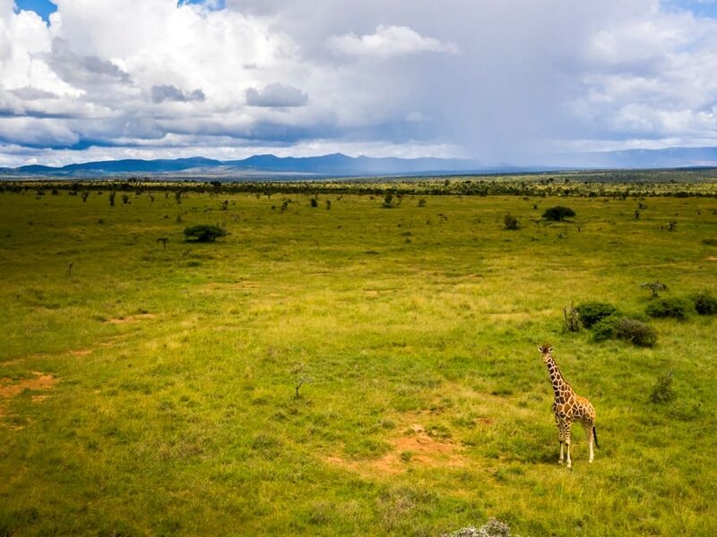 Elegant Kenya Büyük Göç Turu - THY ile 6 Gece - Ekstra Turlar Dahil