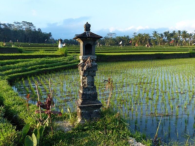 Elegant Bali Turu - Etihad HY ile 5 Gece - Ekstra Turlar Dahil