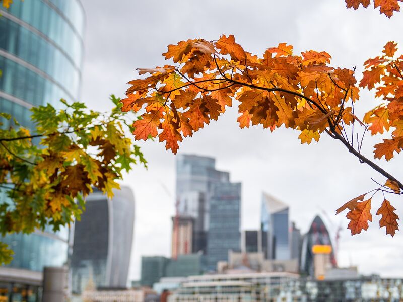 Elegant Royal Britanya 4 Ülke Turu - THY ile 8 Gece - Ekstra Turlar Dahil