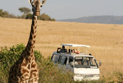 Elegant Güney Afrika'da 4 Ülke Victoria Şelalesi Turu - THY ile 8 Gece - Ekstra Turlar Dahil (CPT-JNB)